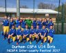 gNCFes16-17.jpg